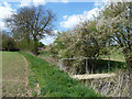 Footbridge over ditch, Little Burstead