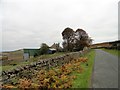 View along the Muggleswick road