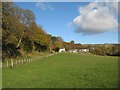 Fields at Tan-y-Graig