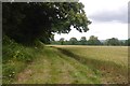 Arable land, Gatacre