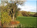 Afon Derfyn valley