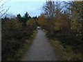 Path heading towards Lochan Mor