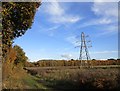 Pylon near Salterford Dam