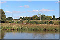 Marshy land by the canal at Great Haywood, Staffordshire