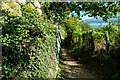 The Wales Coast Path approaching Borth-y-Gest