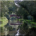 Staffordshire and Worcestershire Canal near Stafford