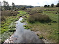 View from the footbridge at the Watercress Beds