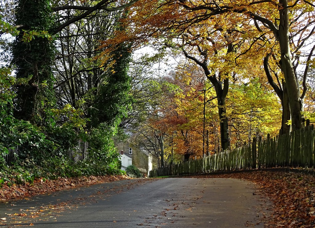 Brincliffe Edge Road in Autumn © Neil Theasby cc-by-sa/2.0 :: Geograph ...