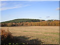 Stubble field and Darcliff Hill