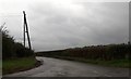 The lane to Llangarron