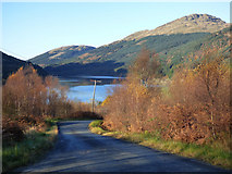 NS1492 : Narrow road to Whistlefield and Loch Eck by Thomas Nugent