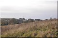 Land awaiting development, Cowdenbeath