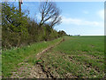 Field edge running south from Sudburys Farm Road