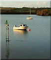 SX7343 : Kingsbridge Estuary by Derek Harper
