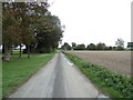 Sedgefen Road, Sedge Fenn