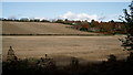 View From the North Downs Way