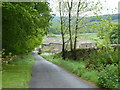 The Pennine Bridleway near Rushop Hall