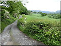 The Pennine Bridleway interim route near Broadbottom