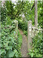 The Pennine Bridleway interim route near The Hague