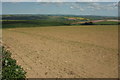 Arable field above Ley Farm #1