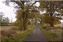 NT3261 : Carrington Barns to Aikendean road by Richard Webb