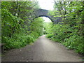 The Pennine Bridleway near Lower Arthurs