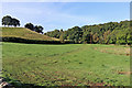 Pasture and woodland near Denford in Staffordshire