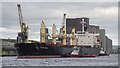 J3576 : The 'Newseas Amber' at Belfast by Rossographer