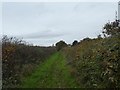 Footpath and track south of Cottles farm, Woodbury