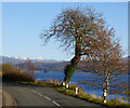 The A880 Shore Road