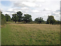 Farmland north of Pinnerwood House (2)