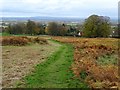 Path on Malvern Common