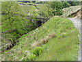 The Pennine Bridleway near Cowberry Hill