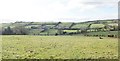 View WSW towards the Ballynahinch Road