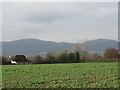 Cottage on Hanley Swan viewed from a bean field