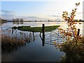 TL4279 : Flat and flooded at Sutton Gault - The Ouse Washes by Richard Humphrey