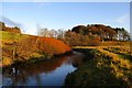 River Ayr west of Wellwood