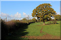 Muddy Footpath on Borrowby Banks