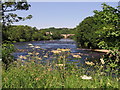 River Tees south of Barnard Castle Bridge