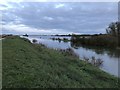 TL4381 : The Old Bedford River in flood at Mepal - The Ouse Washes by Richard Humphrey
