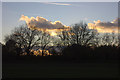 Wandsworth Common at sunset