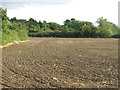 Ploughed field south of Little Oxhey Lane