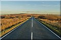 The road to Warslow - south of Lum Edge