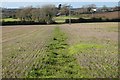 Farmland, Ruanlanihorne