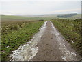 Icy track above Allanshaws Farm near Lauder in the Scottish Borders