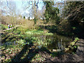 Marshy pond, Kenwood Estate