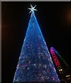 View of The Hopeful Tree and the arch of Wembley Stadium illuminated for the Wembley Winterfest