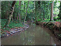 Hartsbourne Stream