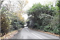 On Old House Road approaching The Causeway (A134)