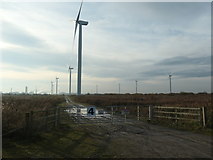 SJ4877 : Entrance gate 4, Frodsham wind farm by Christine Johnstone